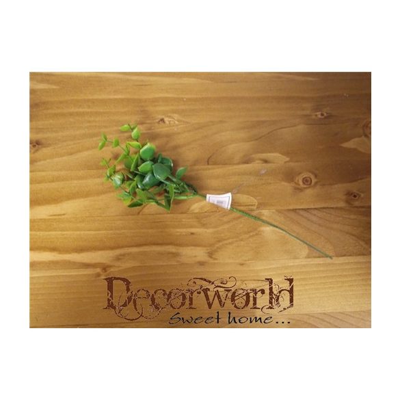 Műa. eukaliptusz pick 20cm