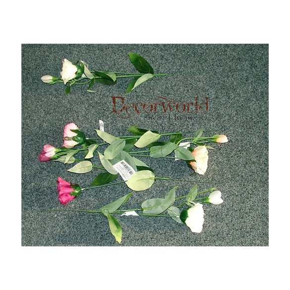 Szép lysinantus ág 1 fej - 4 színben