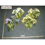 Hortenzia bokor nagy