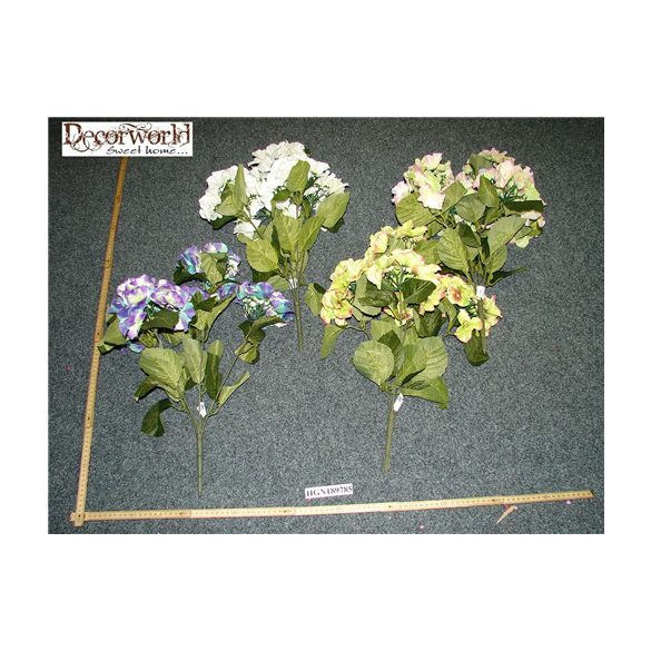 Hortenzia bokor nagy