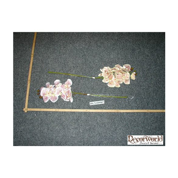 Orchidea szálas pöttyös