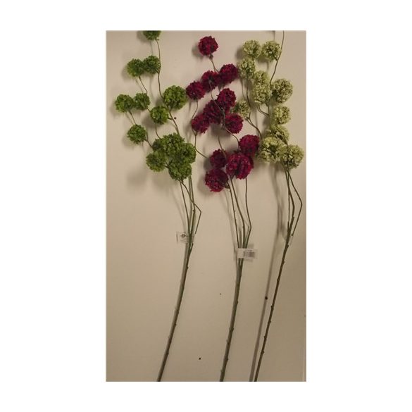 Labdavirágzatú ág