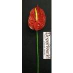 Flamingó szálas gumi 67cm