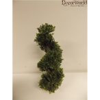 Csavart buxusfa 55cm
