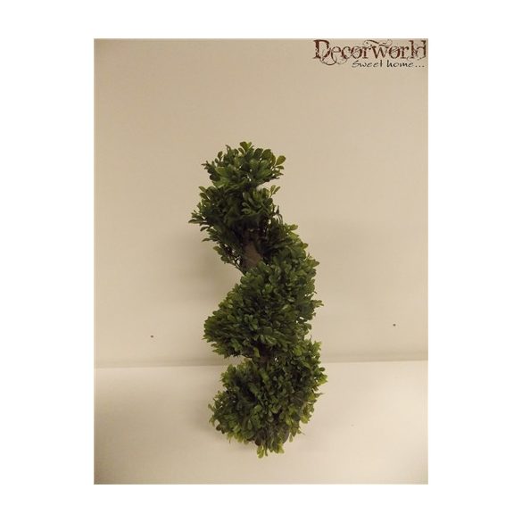 Csavart buxusfa 55cm