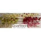 Gumi phalaenopsis orchidea hosszú