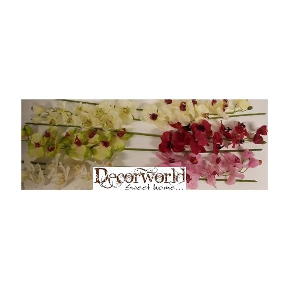 Gumi phalaenopsis orchidea hosszú