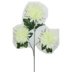 Hegyes gömbkrizantém 3 fej