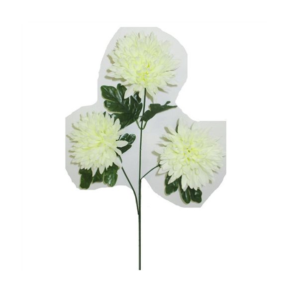 Hegyes gömbkrizantém 3 fej