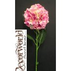 Hortenzia szép szál 1 fej