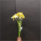 Hagyáms kisnárcisz x5 23cm - sárga