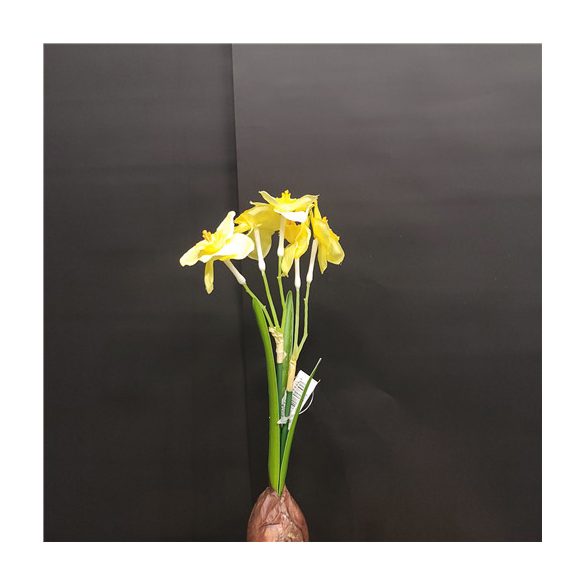 Hagyáms kisnárcisz x5 23cm - sárga