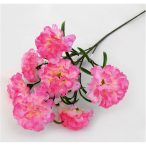 Mini fejes szegfűág x7 - 5 színben