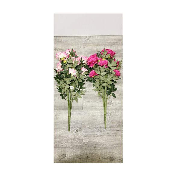 Bazsarózsa hosszú bokor x5 - Több színben