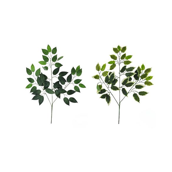 Fikuszág 60 cm - 2 színben /db