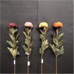 Szálas krizantém 62cm - Több színben