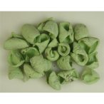 Lali falfestékes 26dkg - Világos zöld