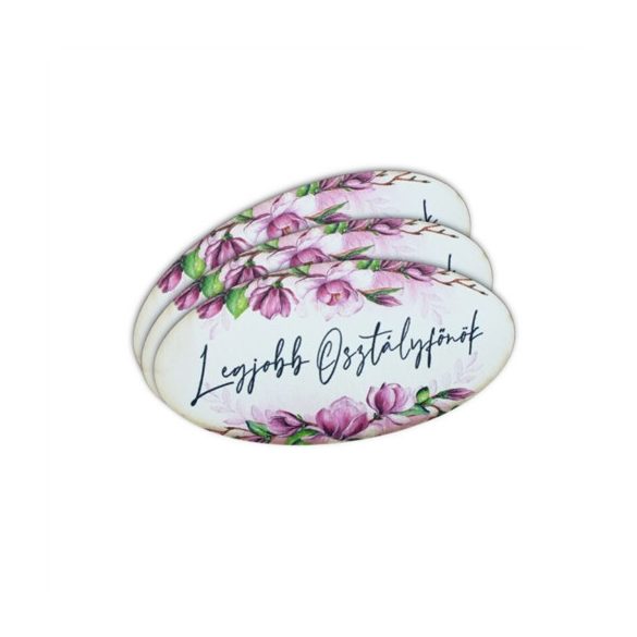 Nyomtatott dekorkarton 8x4 cm - Legjobb osztályfőnök ovál tábla 3db