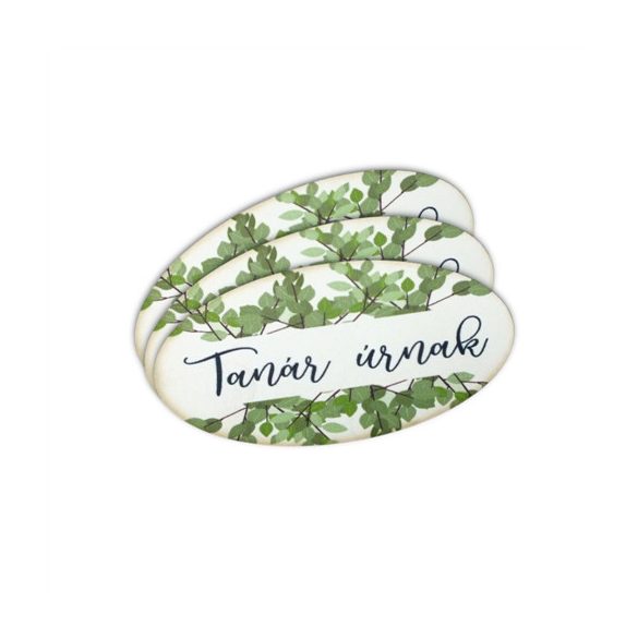 Nyomtatott dekorkarton 8x4 cm - Tanár úrnak ovál tábla (3db/csom.)