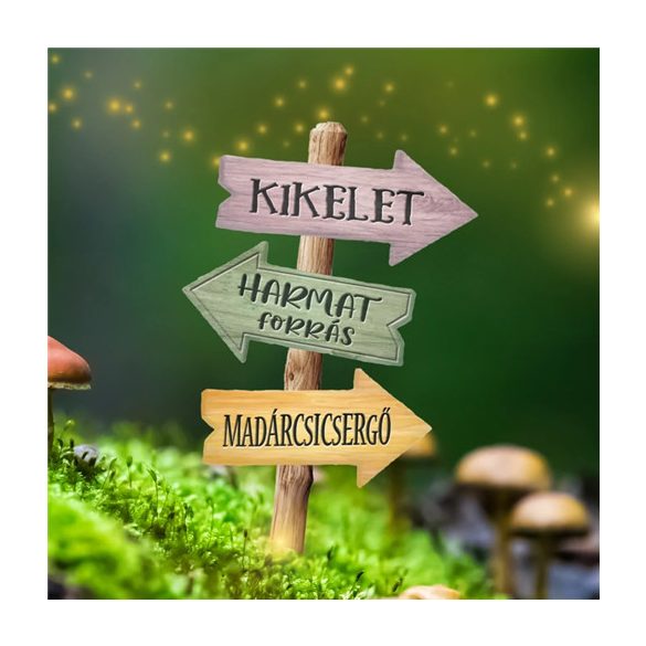 Nyomtatott dekorkarton 6x10cm - Tavaszi útjelző tábla 2db