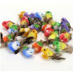 Színes madár csipeszes 2,5x6cm - Több színben /DB