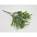 Szaravagancs páfrány 33cm - Zöld