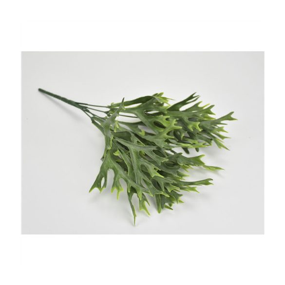 Szaravagancs páfrány 33cm - Zöld