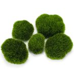 Füves kövek 6-9 cm 5db/csom.