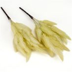 Szárazvirág hatású tollvirág csokor - Krém /DB