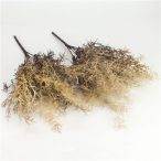   Szárazvirág hatású aszparágusz csokor - Dohánybarna /db