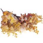   Szárazvirág hatású eukaliptusz csokor - Natúr-mályva /db