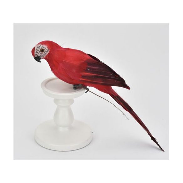 Papagáj 36cm - Piros