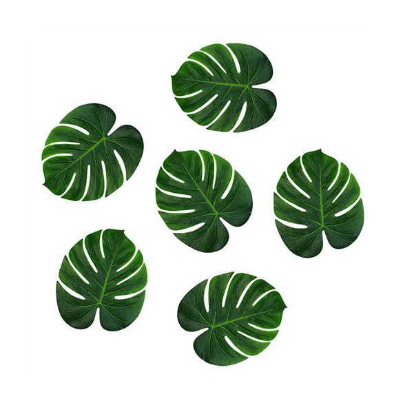 Szár nélküli óriás filodendron levél 35x28cm - (12db/csom.)