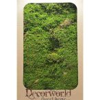 Száritott moha 0,72 kg