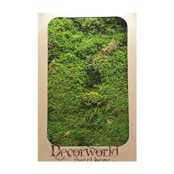 Száritott moha 0,72 kg