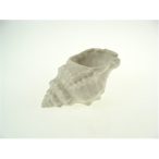 Kagyló kerámia 17x10x7 cm - Fehér