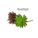 Műnövény pozsgás Crassula 15cm több szín