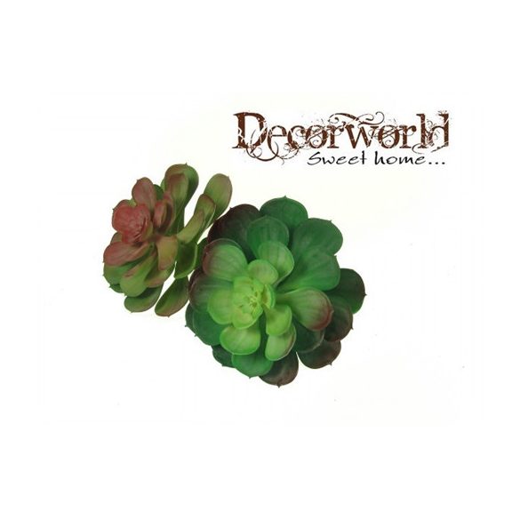 Műnövény Echeveria pozsgás 18cm több szín