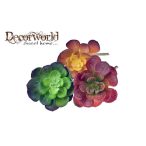 Műnövény Echeveria pozsgás 10cm több szín