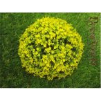 Selyemvirág félgömb D15cm 2 szín