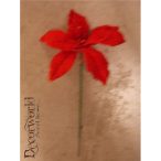 Selyemvirág mikulásvirág pikk piros