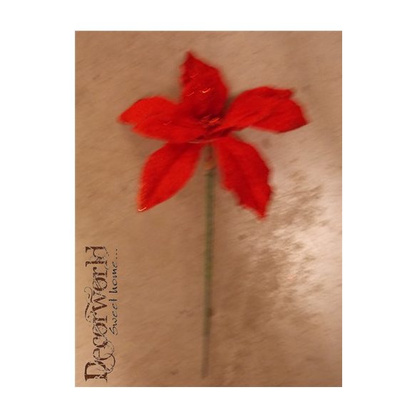 Selyemvirág mikulásvirág pikk piros