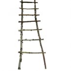 Dekorlétra nyírfa 150cm - Natúr