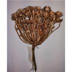 Selyemvirág 20 cm s/10 arany