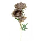 Bazsarózsa 3fej 65cm - Sötétbarna