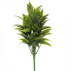 Ruscus csokros 35cm - Hamvas zöld