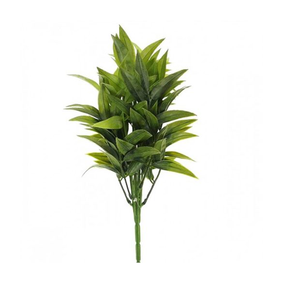 Ruscus csokros 35cm - Hamvas zöld