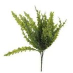 Páfrány csokros hullámos púderes 35cm - Zöld