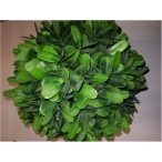 Buxus gömb púderes 20cm - Zöld