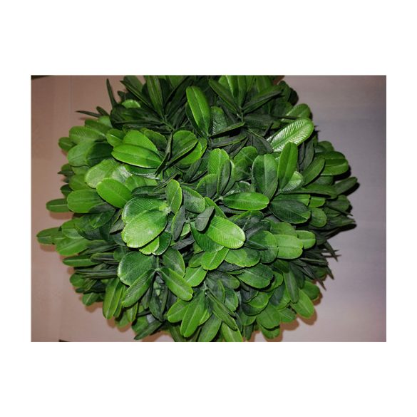 Buxus gömb púderes 20cm - Zöld